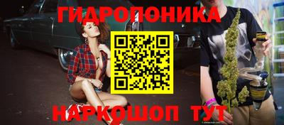 твердый Лесосибирск
