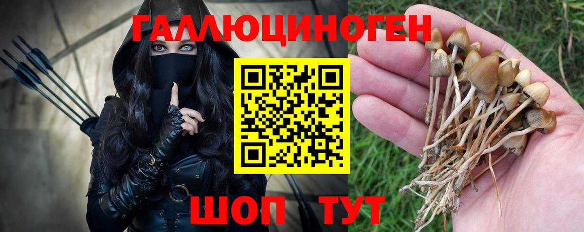 Энгельс  Псилоцибиновые грибы Magic Shrooms  Вход с VPN  Галлюциногенные грибы Cubensis 
